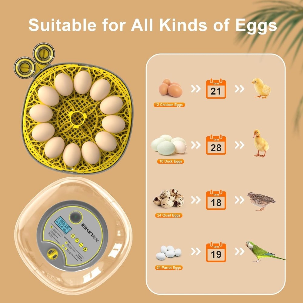 Incubator for Hatching Eggs-12 Egg Capacity, 2026 Newly Upgraded Automatic Eg...