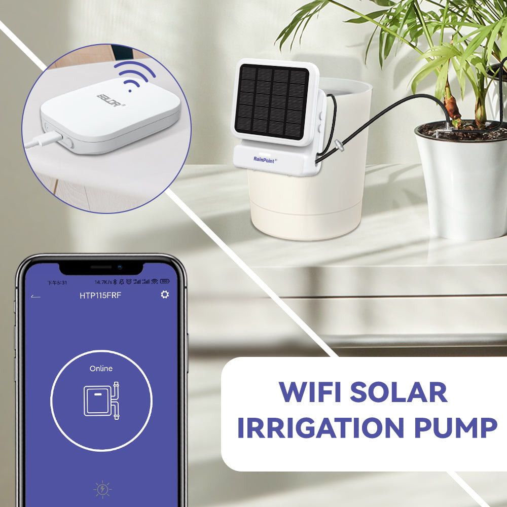 RainPoint WiFi App-Controlled Watering Timer Solar Powered Pump for House Plants