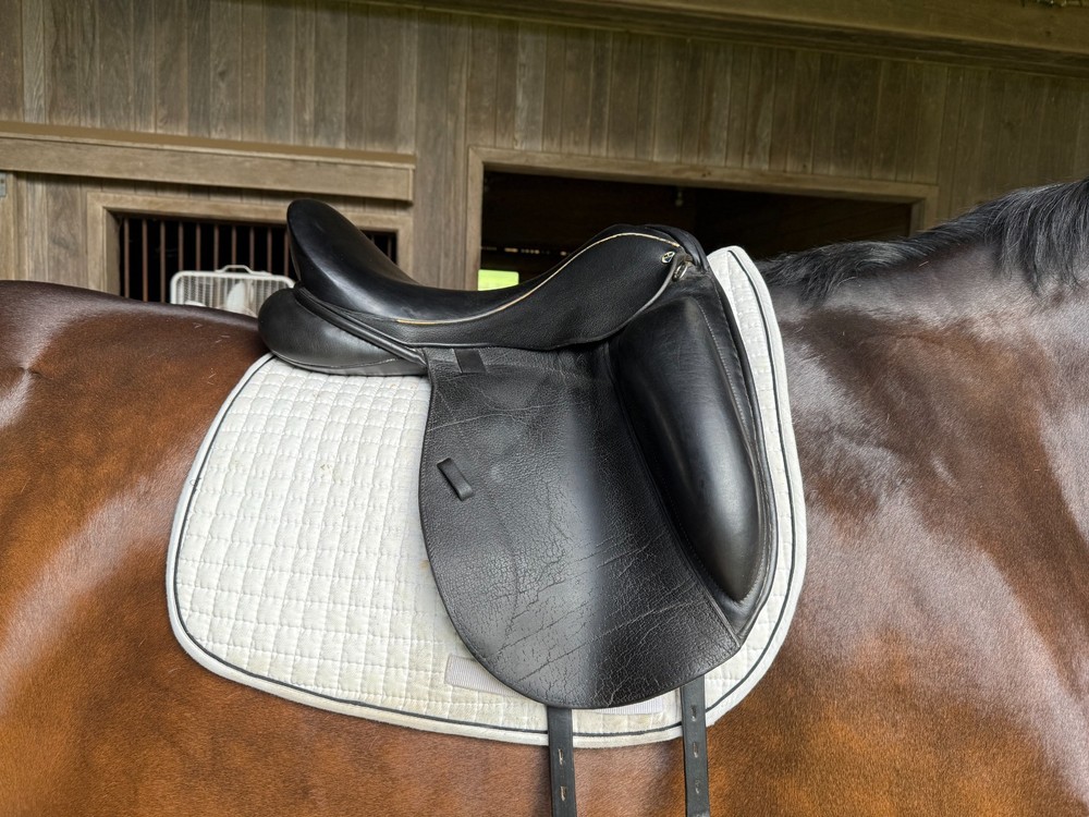 N2 Dressage Saddle