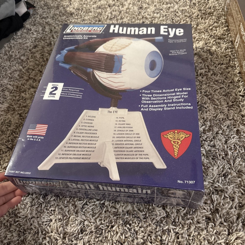 2 Lindberg Model Kits - Brain & Skull, Human Eye,