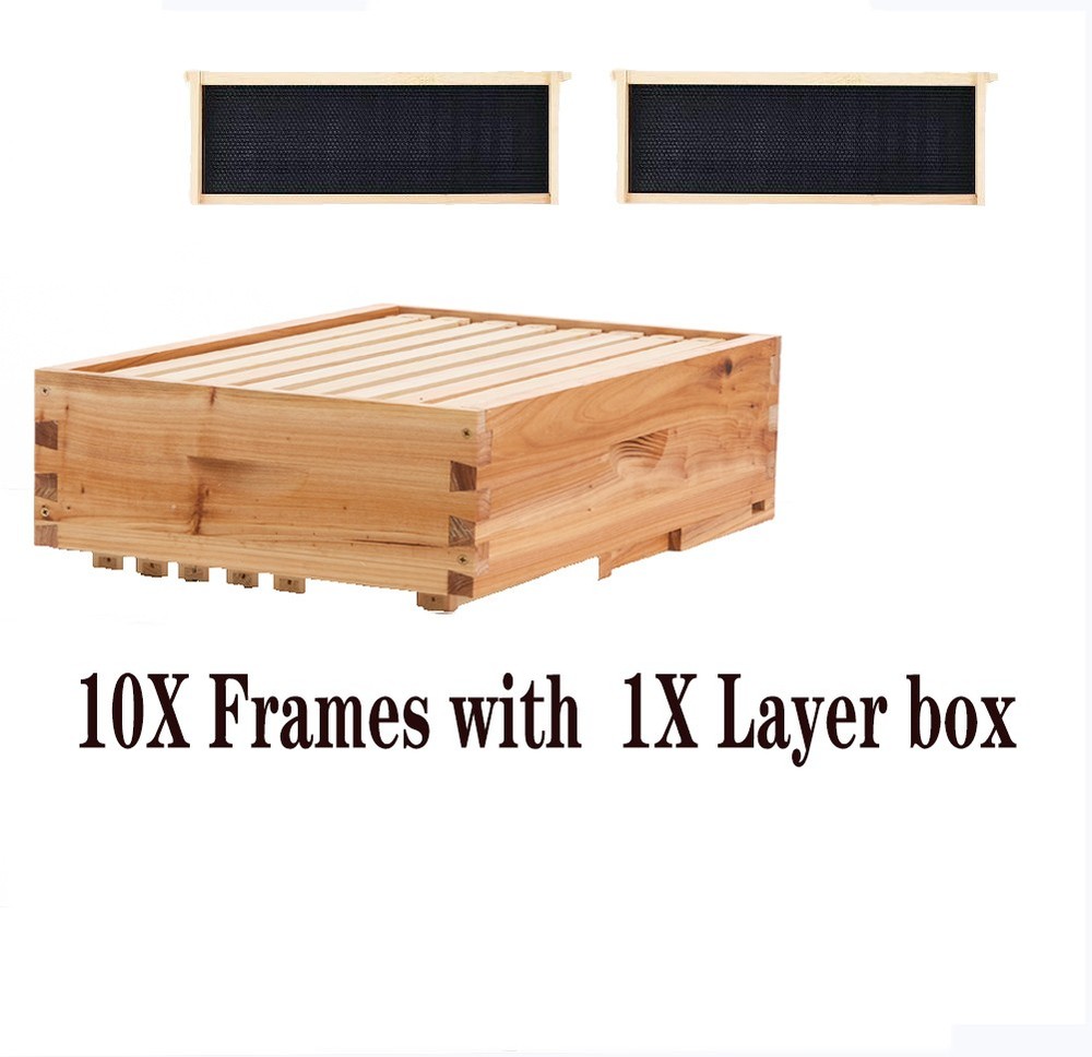 100% Beeswax Beehive 10 Frame Add-On Super, 10 Deep Frames Langstroth Beekeeping