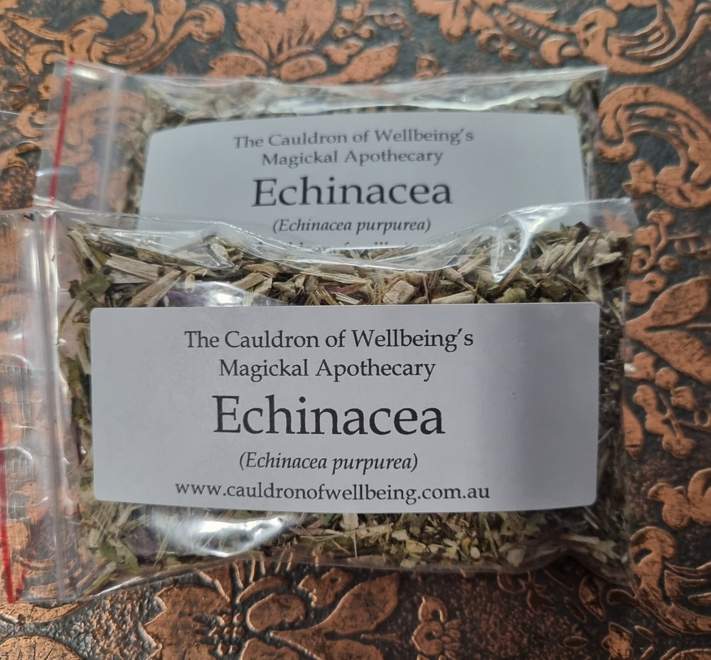 Echinacea