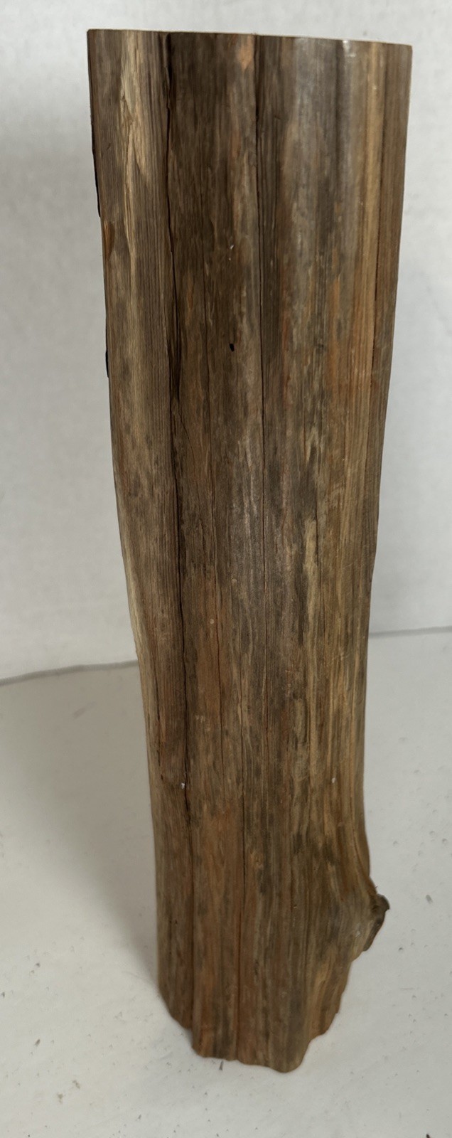 Driftwood¡ 2 Piece Set Cedar Taxidermy Beach Mountain Wedding 1 White Outside