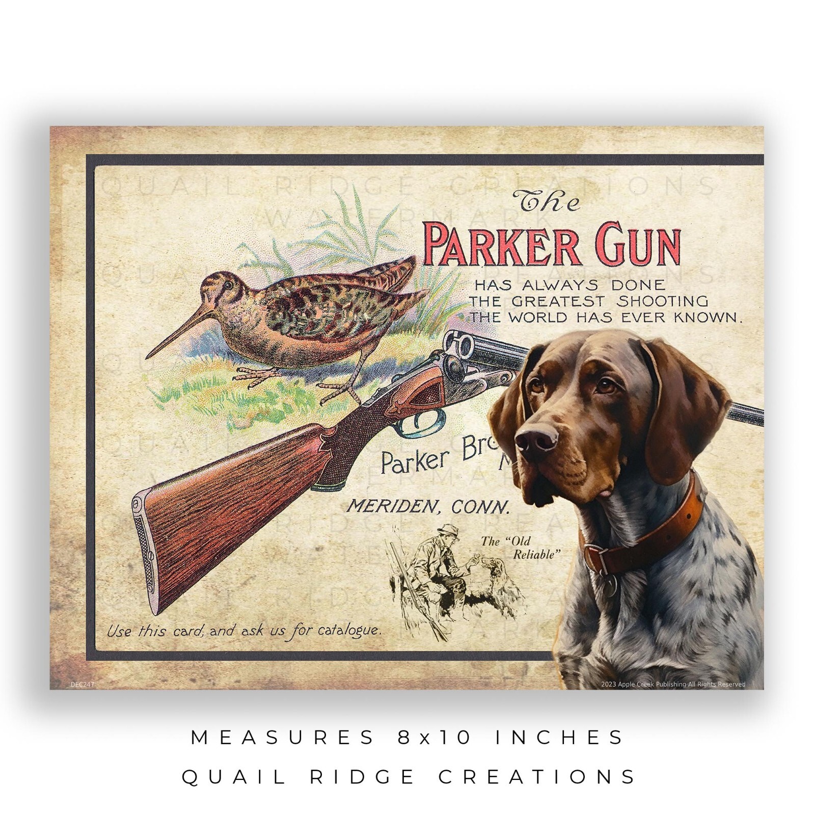 Parker Gun Advertising Art Print German Shorthair Hunting Dog Wall Decor Gift