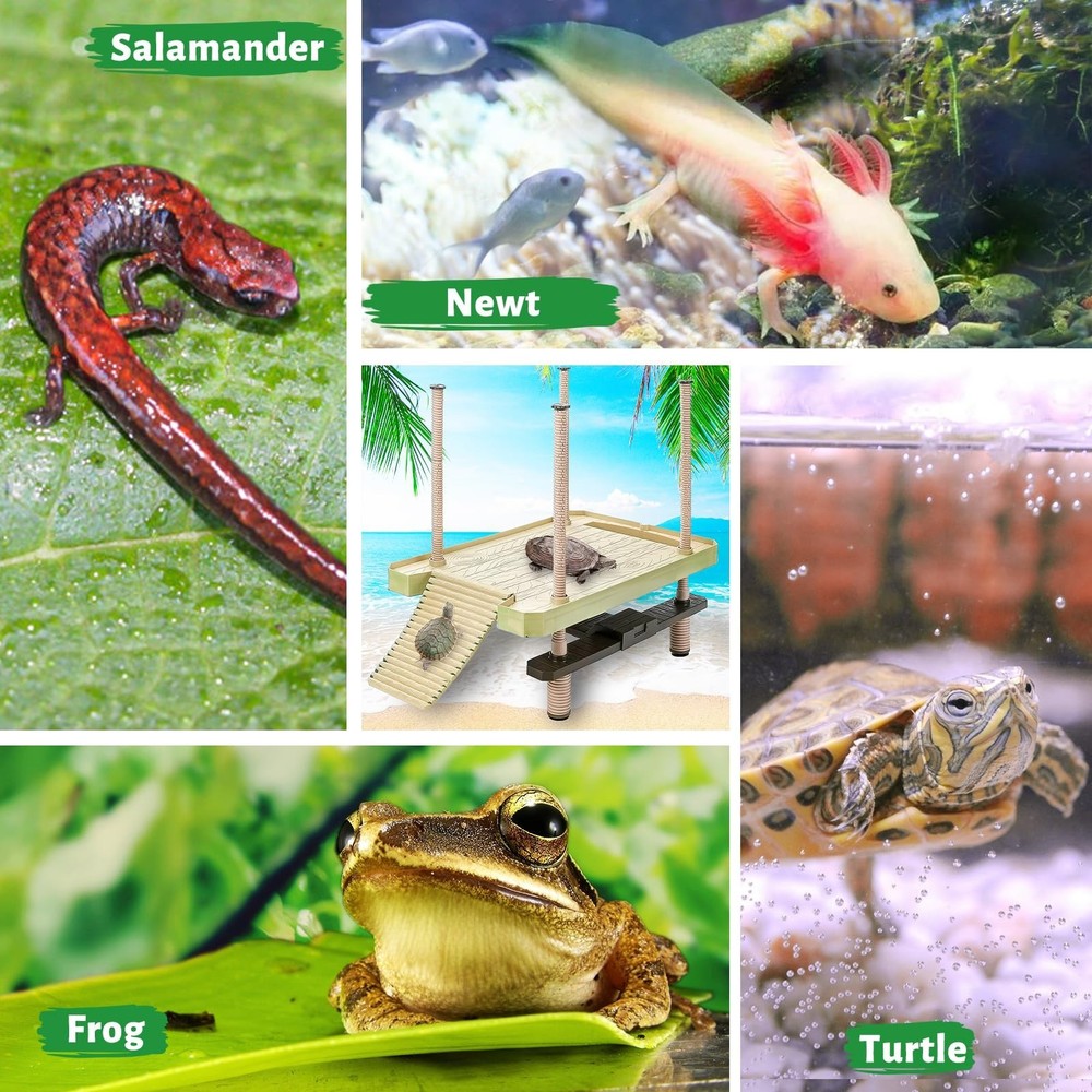 Large Turtle Floating Basking Platform with Feeding Area, Turtle Floating Doc...