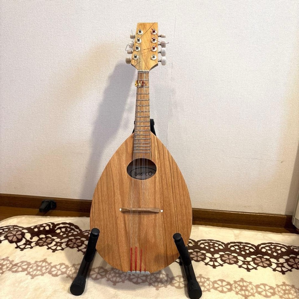 Basiko (flat mandolin) case