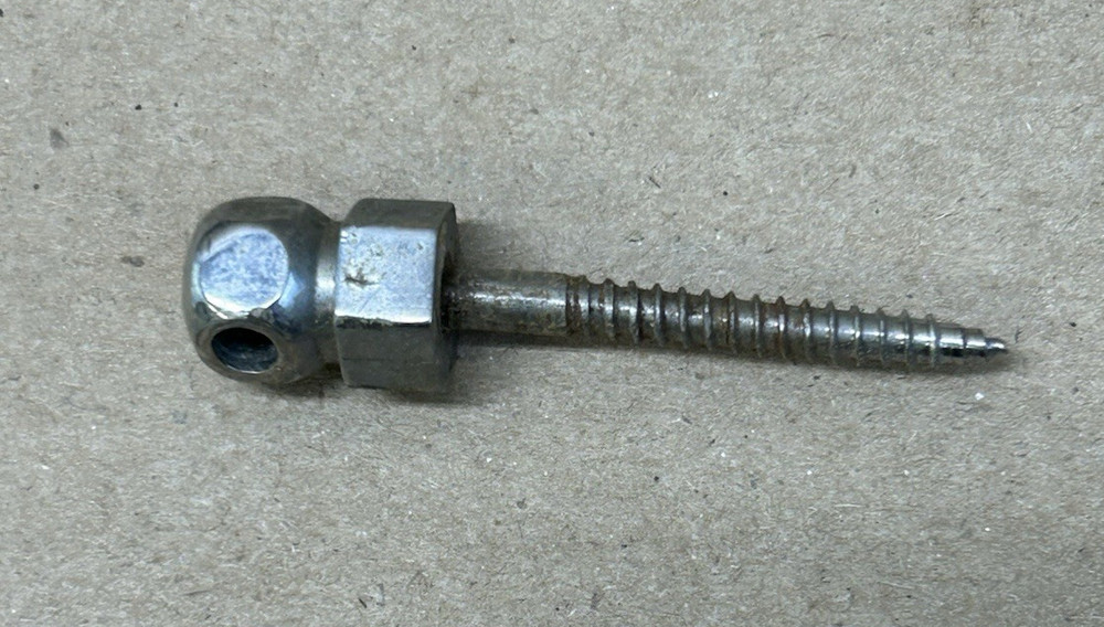 Early Banjo Neck Dowel Tailpc Screw