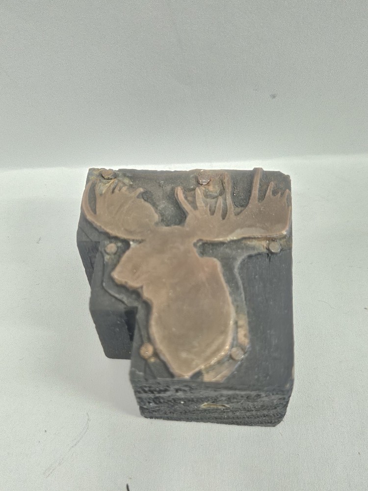 Printing Letterpress Printer Type Block Moose Print Cut