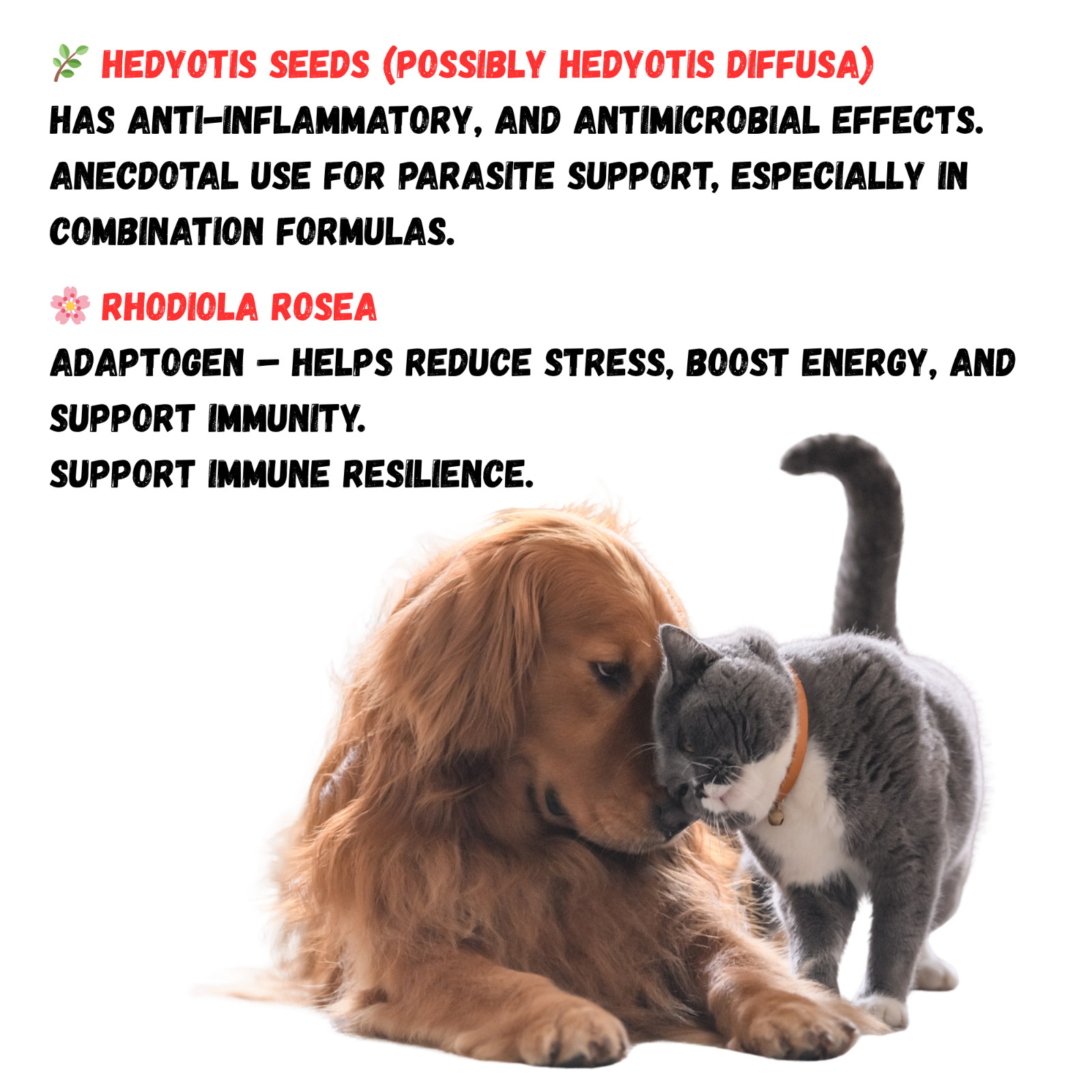 Dewormer for Dogs and Cats Natural De-Wormer Intestinal Cleanser Canine 90 Chews