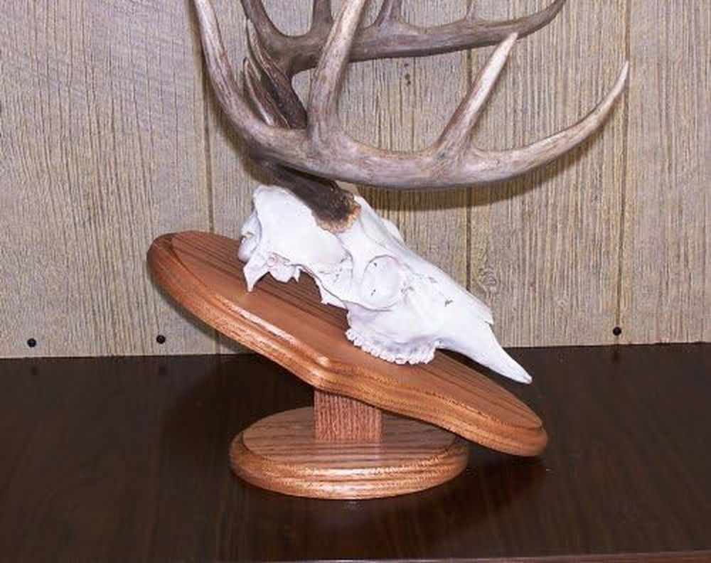 Solid Oak European Mount Skull Pedestal Plaque
