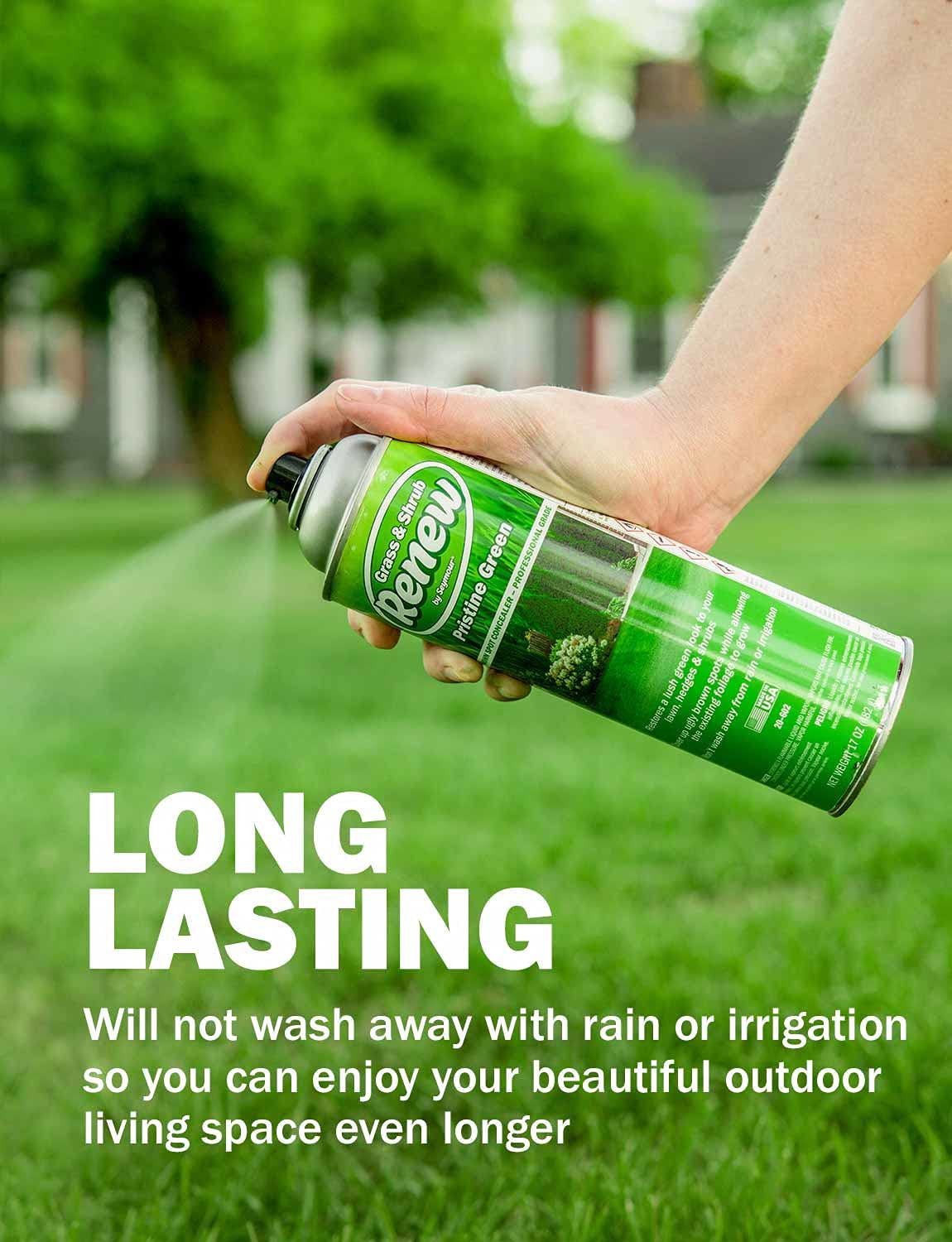 20-602 Grass and Shrub Renew, Pristine Green