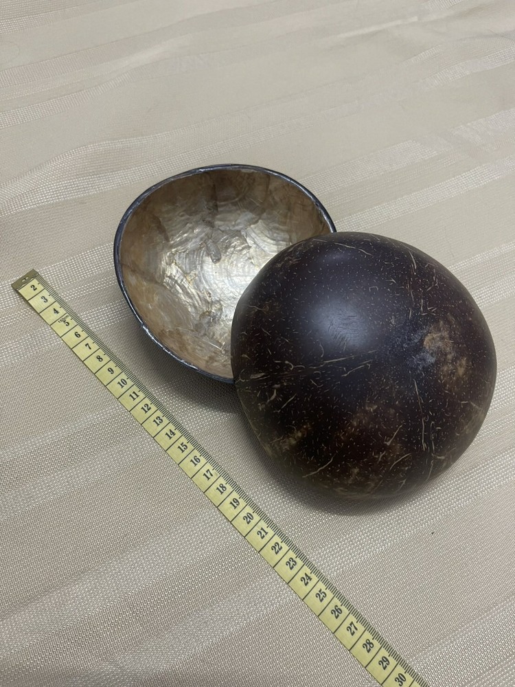 Hand Painted Coconut Shell Bowl 5.25" Diameter
