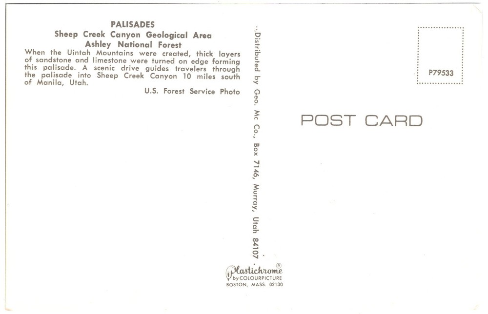 PALISADES, ASHLEY NATIONAL FOREST - PC2731