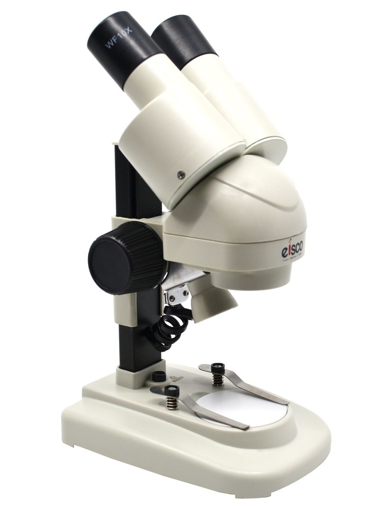 Stereoscopic Microscope, 45 Degree Binocular Head, Adjustable Pillar -Eisco Labs