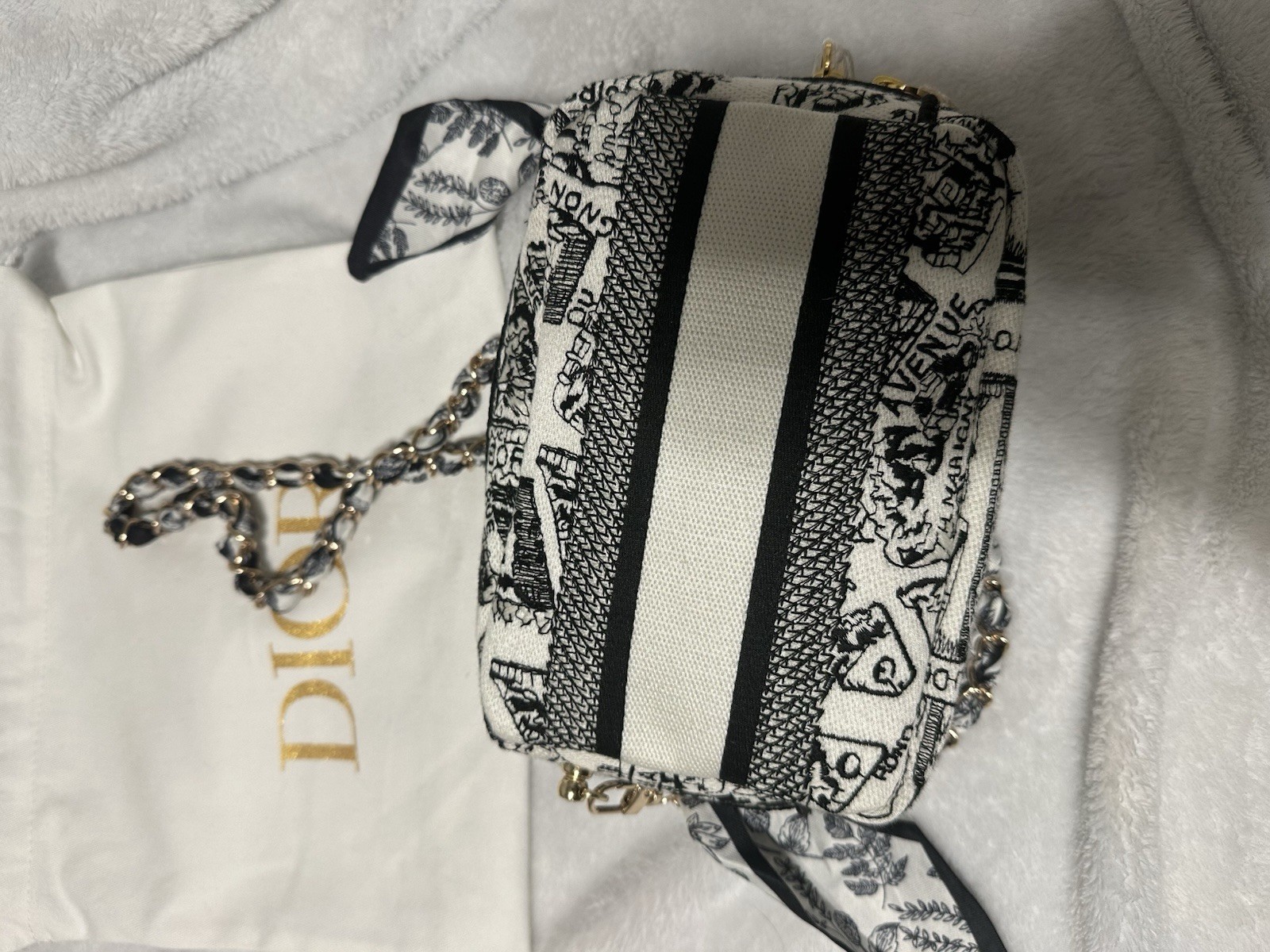 NWT Christian Dior Plan De Paris Canvas Embroidered Cosmetic Bag VIP GWP- BOX