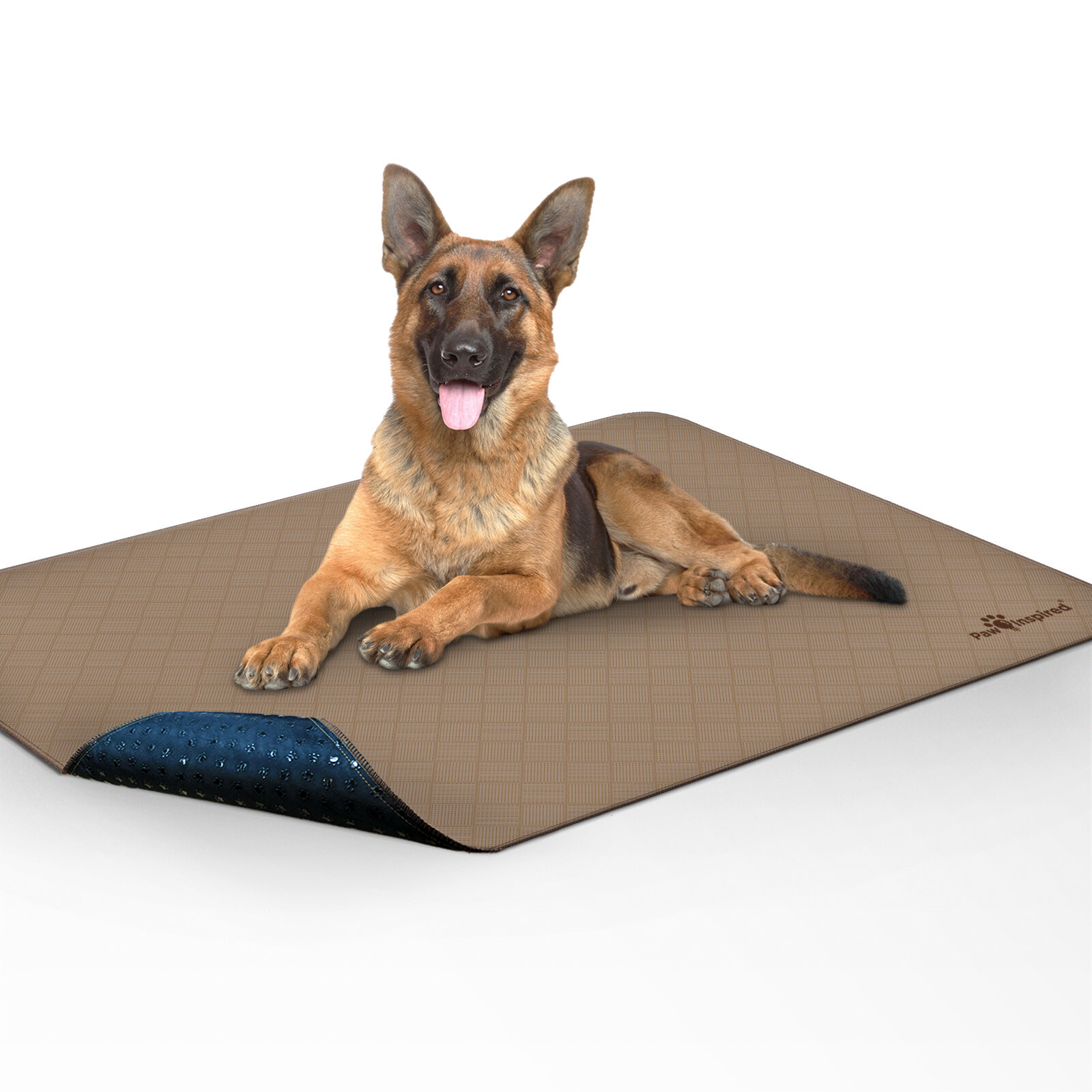 Paw Inspired Washable Dog Pads, Reusable Puppy Pee Wee Training Pads Extra Large