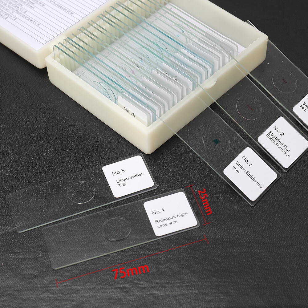 25PCS/Set Biological Glass Sample Prepared Basic Animal Plants Insects M9S9