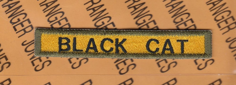 BLACK CAT 13th Armored Division Armor Tank tab 4" patch c/e