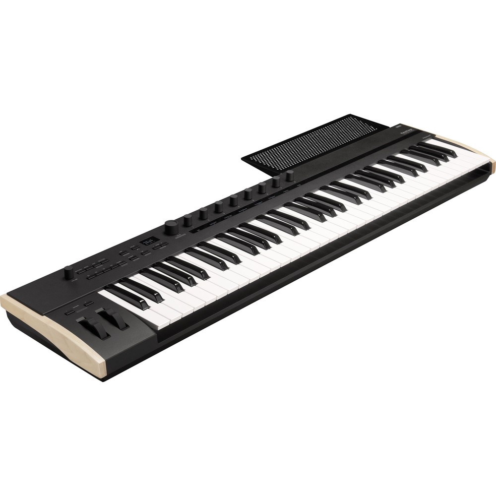 Korg Keystage 61 Poly AT MIDI Keyboard Controller CABLE KIT