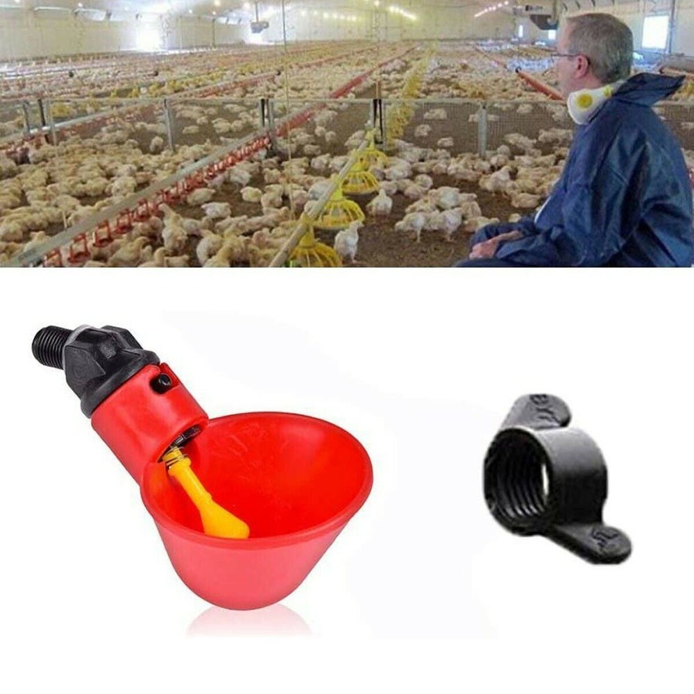 1-50Pcs Poultry Water Drinking Cups Chicken Hen Plastic Automatic Drinker Feeder