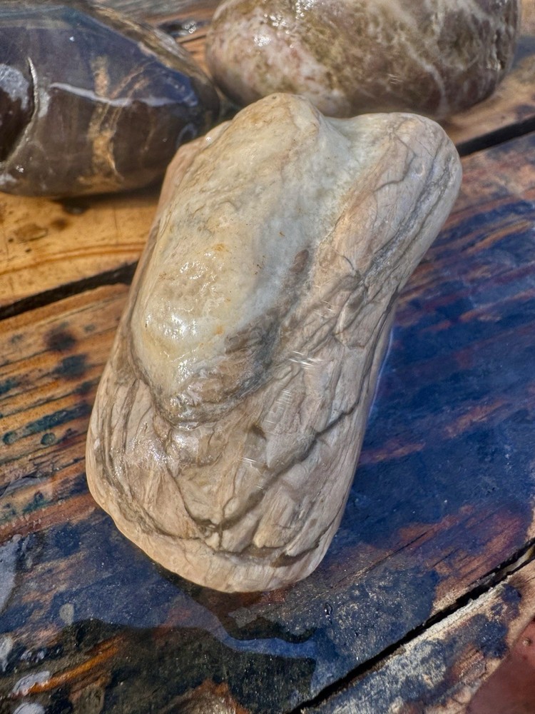 Rocks for Tumbling Lapidary Material Rough
