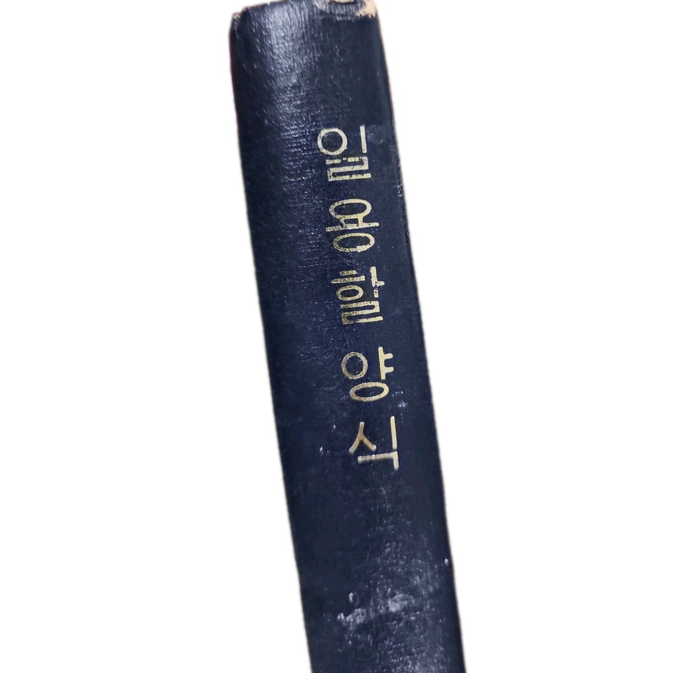 Vintage Asian Hymnal Book. Daily Bread Daily Devotion