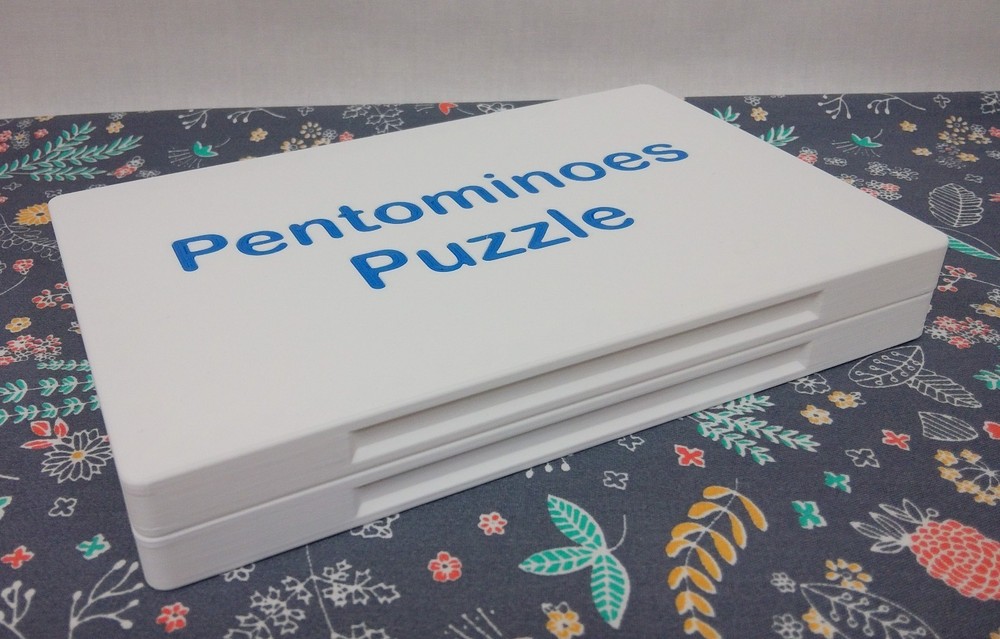 3-D Printed Pentominoes Puzzle
