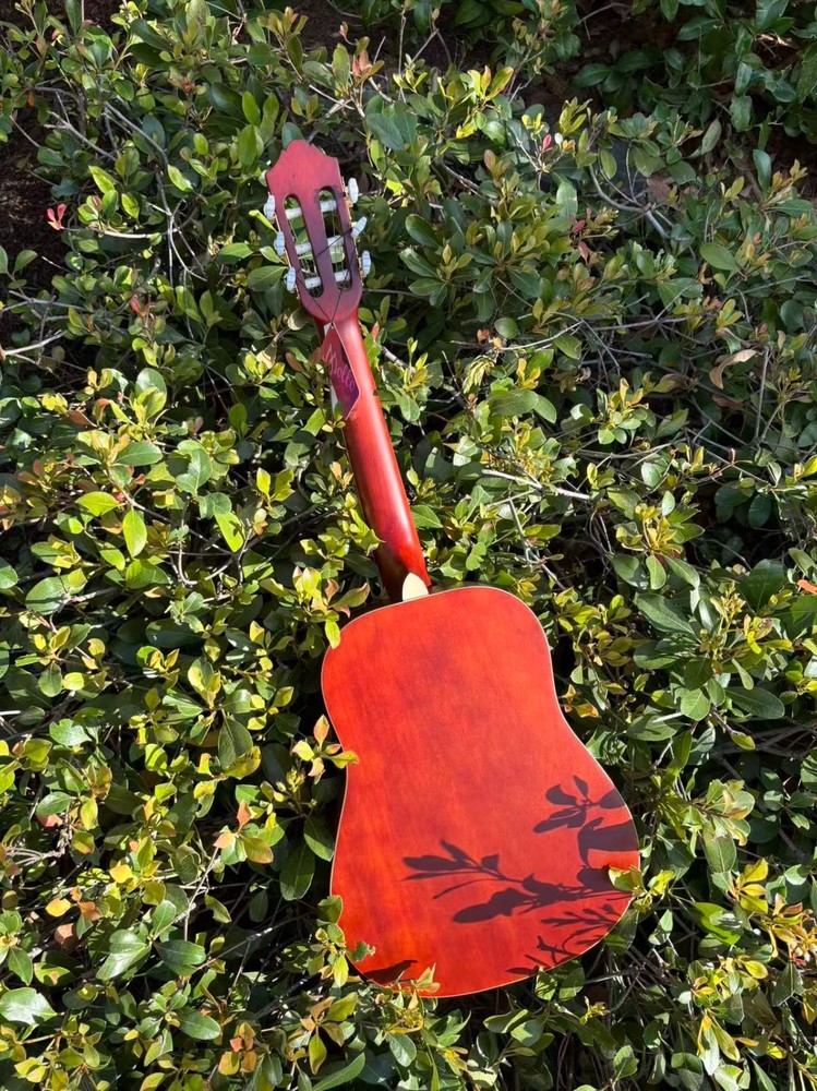 Mollo Acoustic Guitar Classical Guitar 6 string Guitar