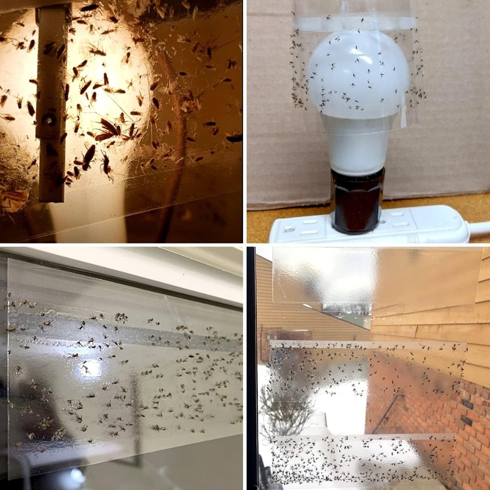 50 Pack Eco-Friendly Indoor Clear Fly Traps – Safe & Effective Bug Control
