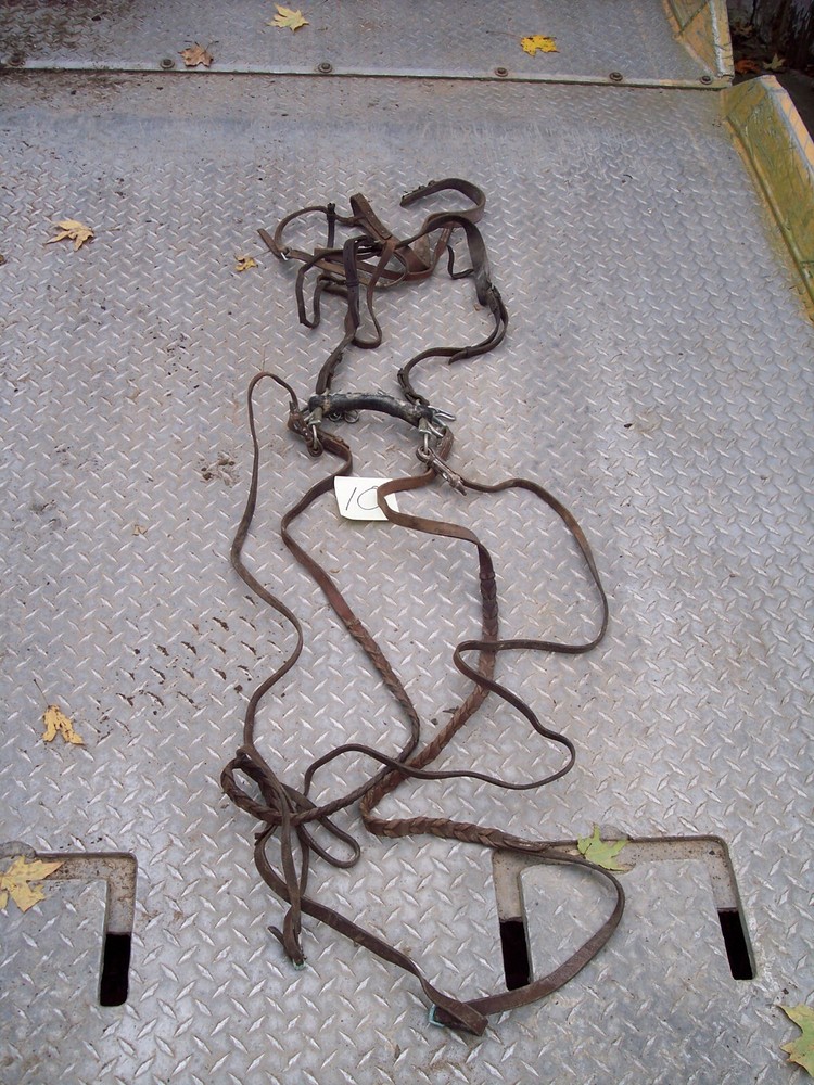 TOOLING LEATHER STRAPS BRIDLE HARNESS 3 LB FREE S/H