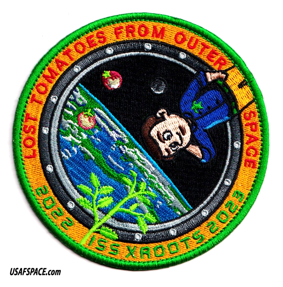 LOST TOMATOES FROM OUTER SPACE-ORIGINAL -AB Emblem Tim Gagnon-NASA SPACE PATCH
