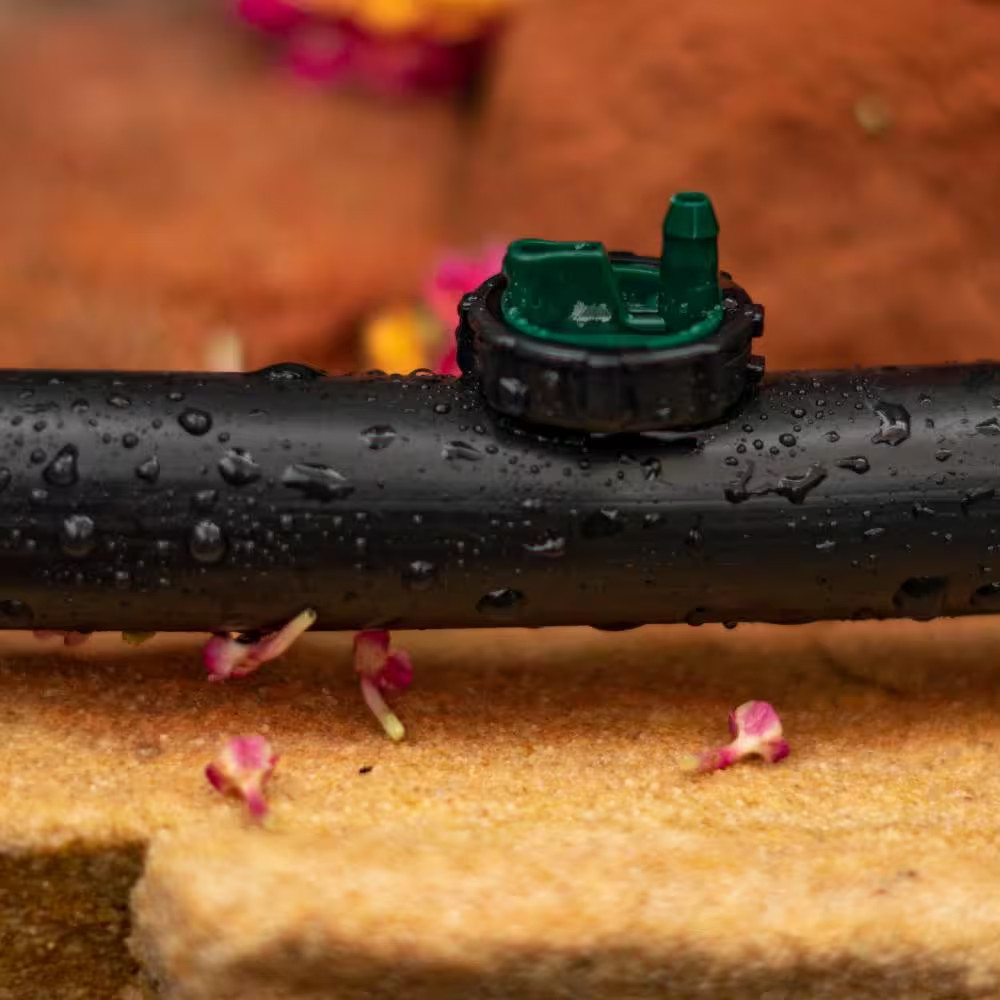 2 GPH Button Dripper (25-Pack)