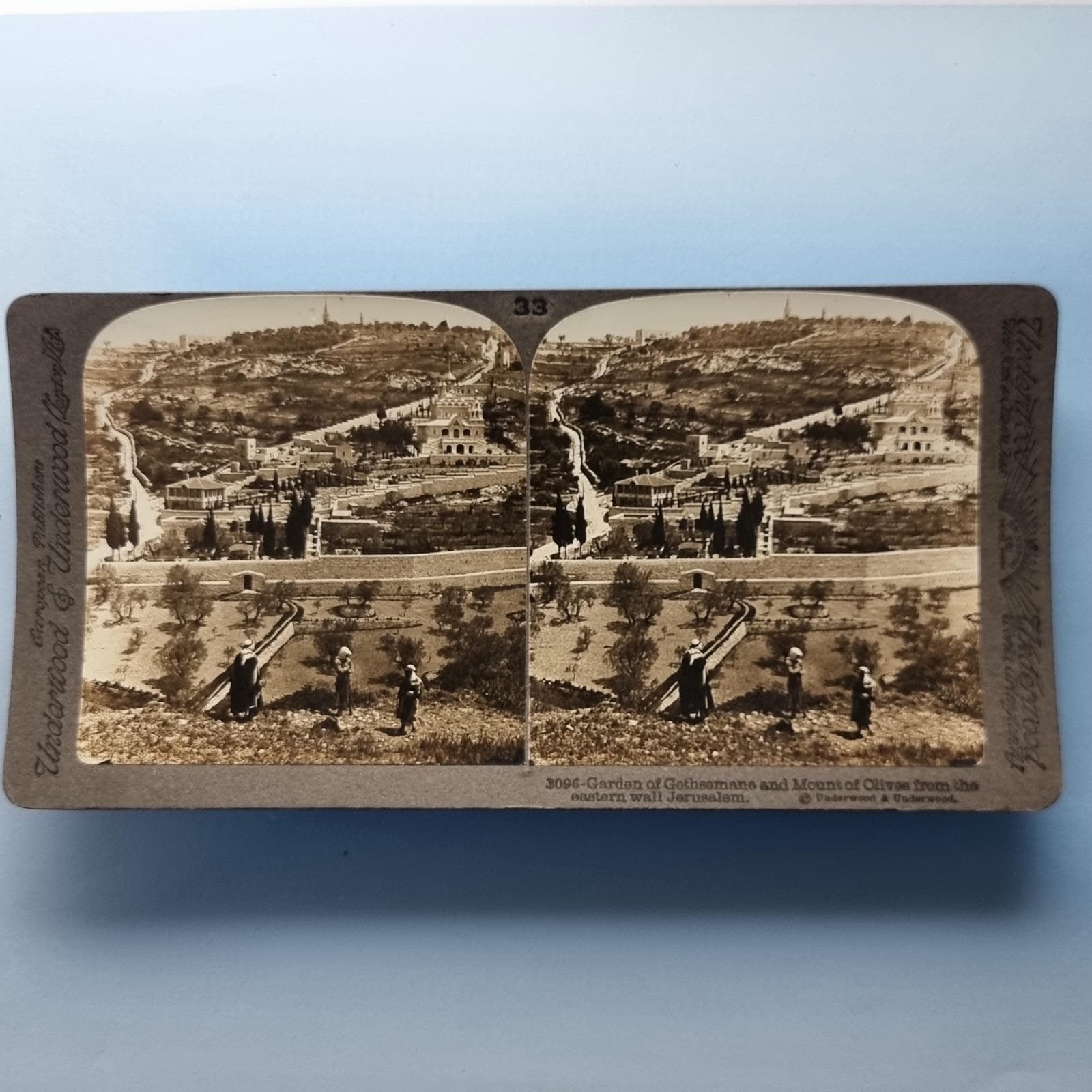 Jerusalem Palestine Stereoview C1900 Real Photo M.East Garden Of Gethsemane