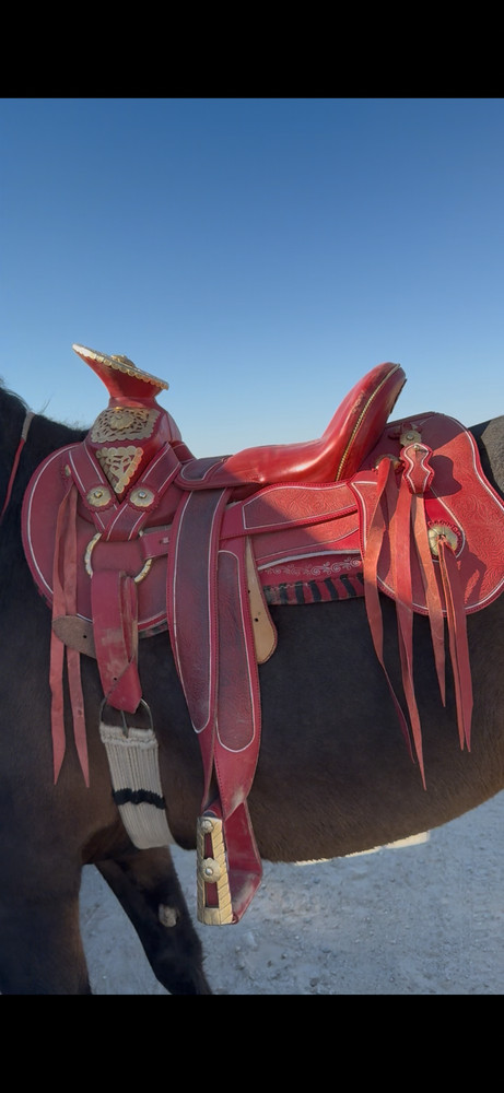 used horse saddle