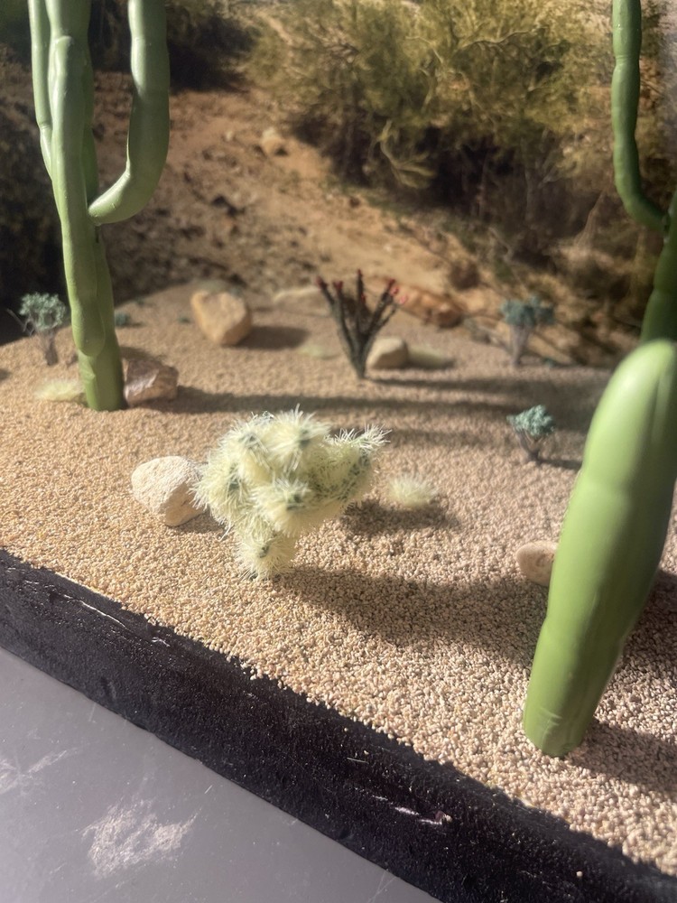 Ho Scale Cactus, Teddy Bear Cholla