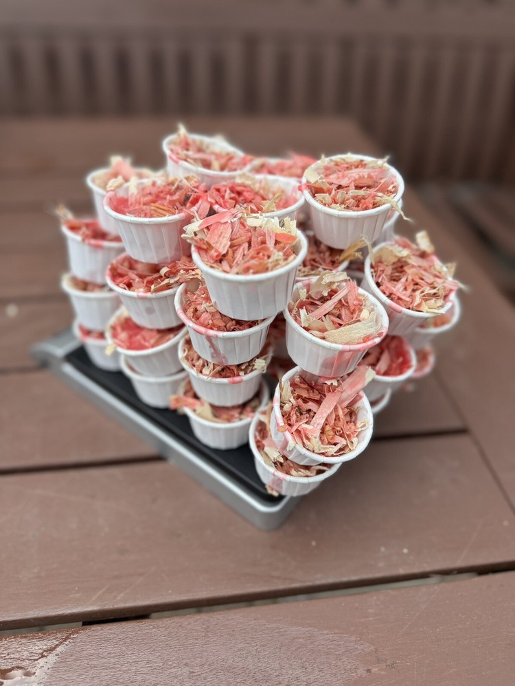 40 Fire Starters 🔥🔥 1 Ounce Cups