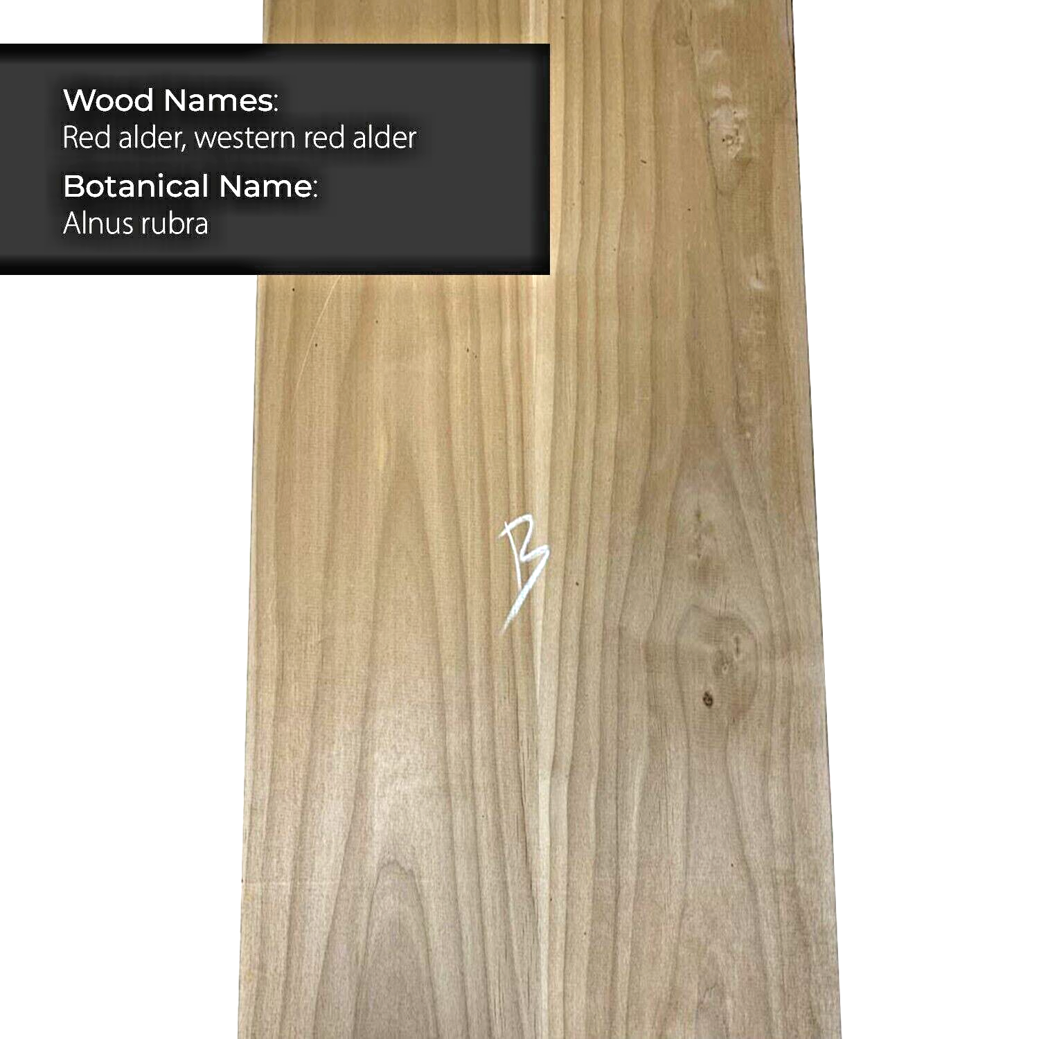 New Alder Electric/Bass Guitar Body Blanks - 21" x 14" x 1-3/4" - 3 Piece Glued