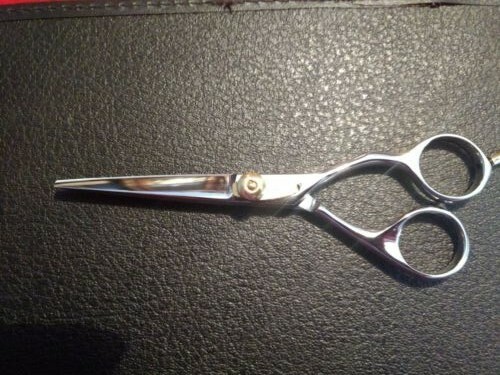 New Eickert Arius 5.5" shears