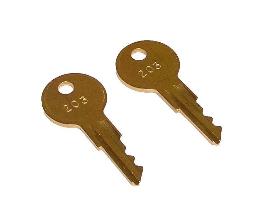 2 - 203 Replacement Keys fit Bosch Fire Alarm Panel Pull Stations