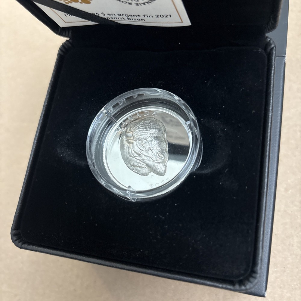 2021 $25 Bold Bison - Pure Silver Coin