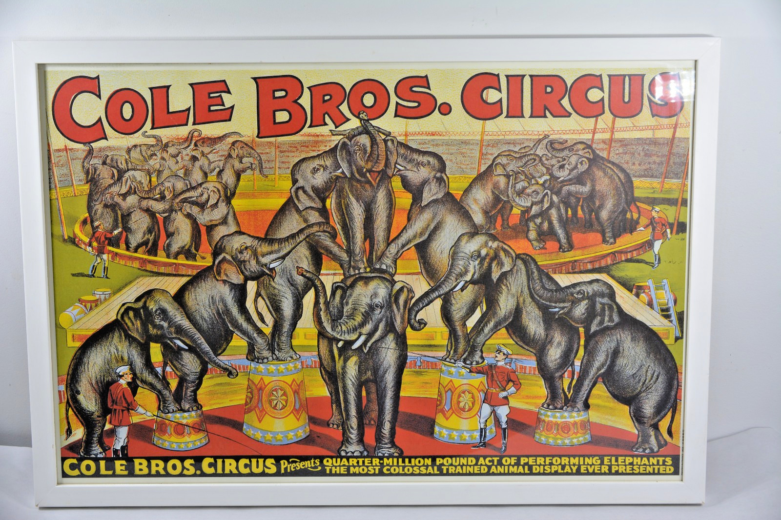 Cole Bros Circus Elephant Poster 1990s French Reproduction Professionally Framed
