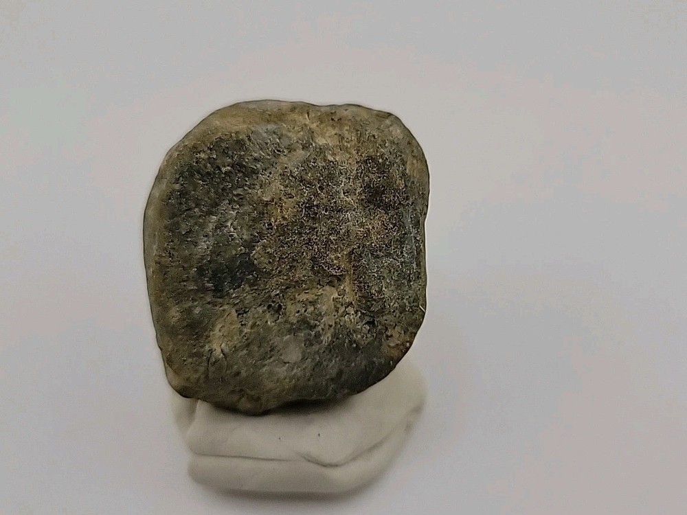 Real Permineralized Dinosaur Half Egg Embro Uv Reactive