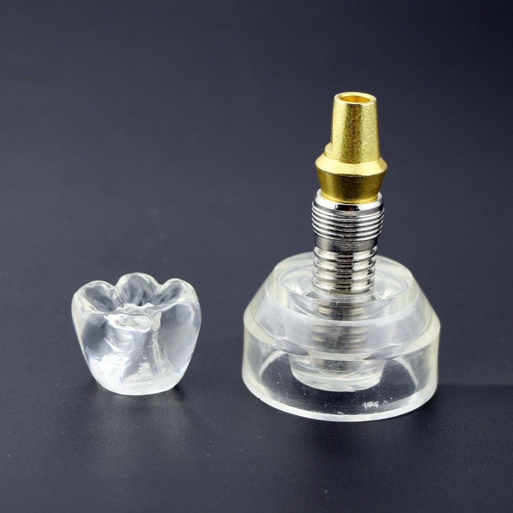 #2020 Dental Implant Model Demonstration Teeth Study Model Demonstrates Crown