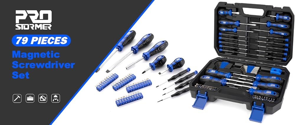 Proer Magnetic Screwdriver Set, Multi-pose Slotted/