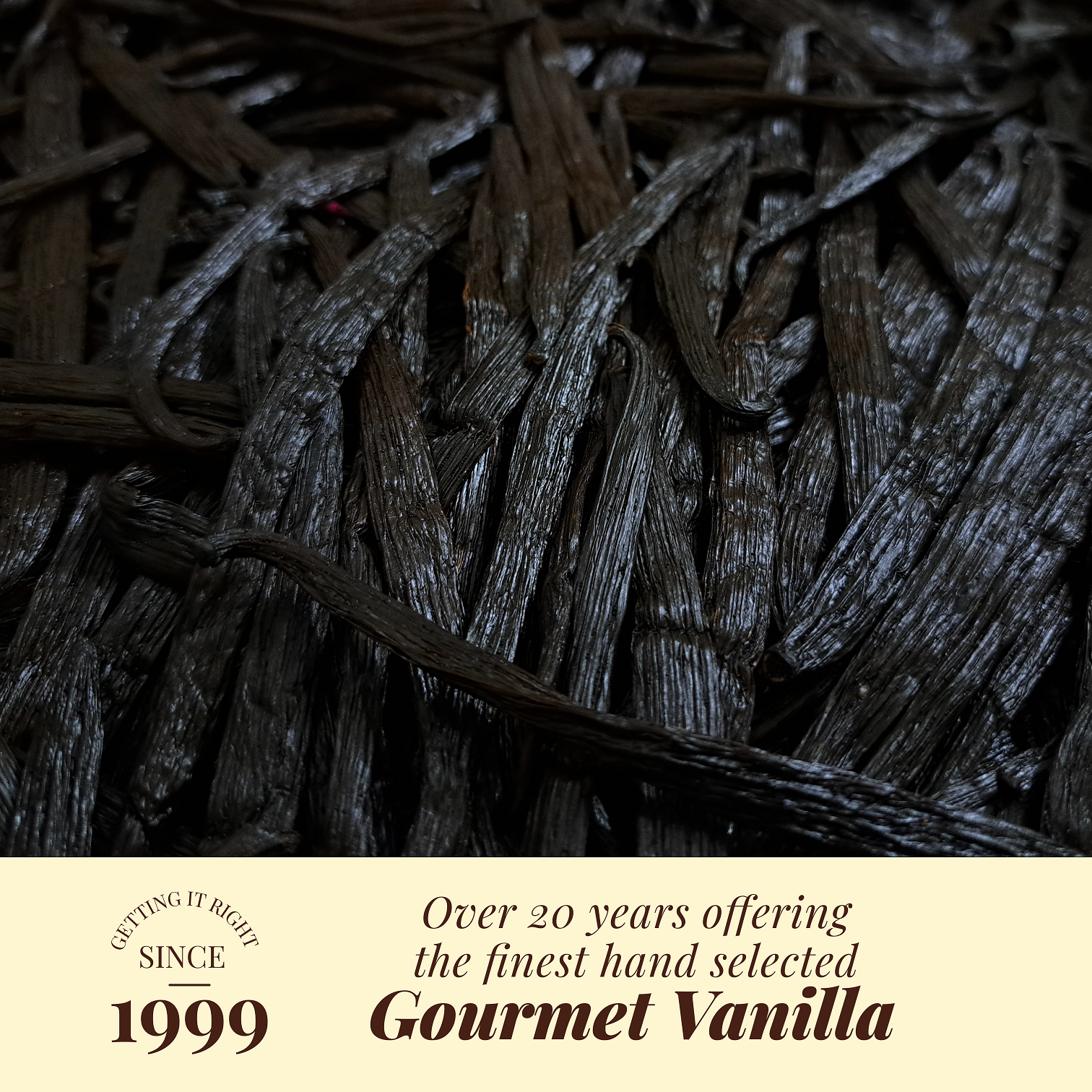 Whole Vanilla Beans Grade A, Vanilla Beans For Vanilla Extract & Baking