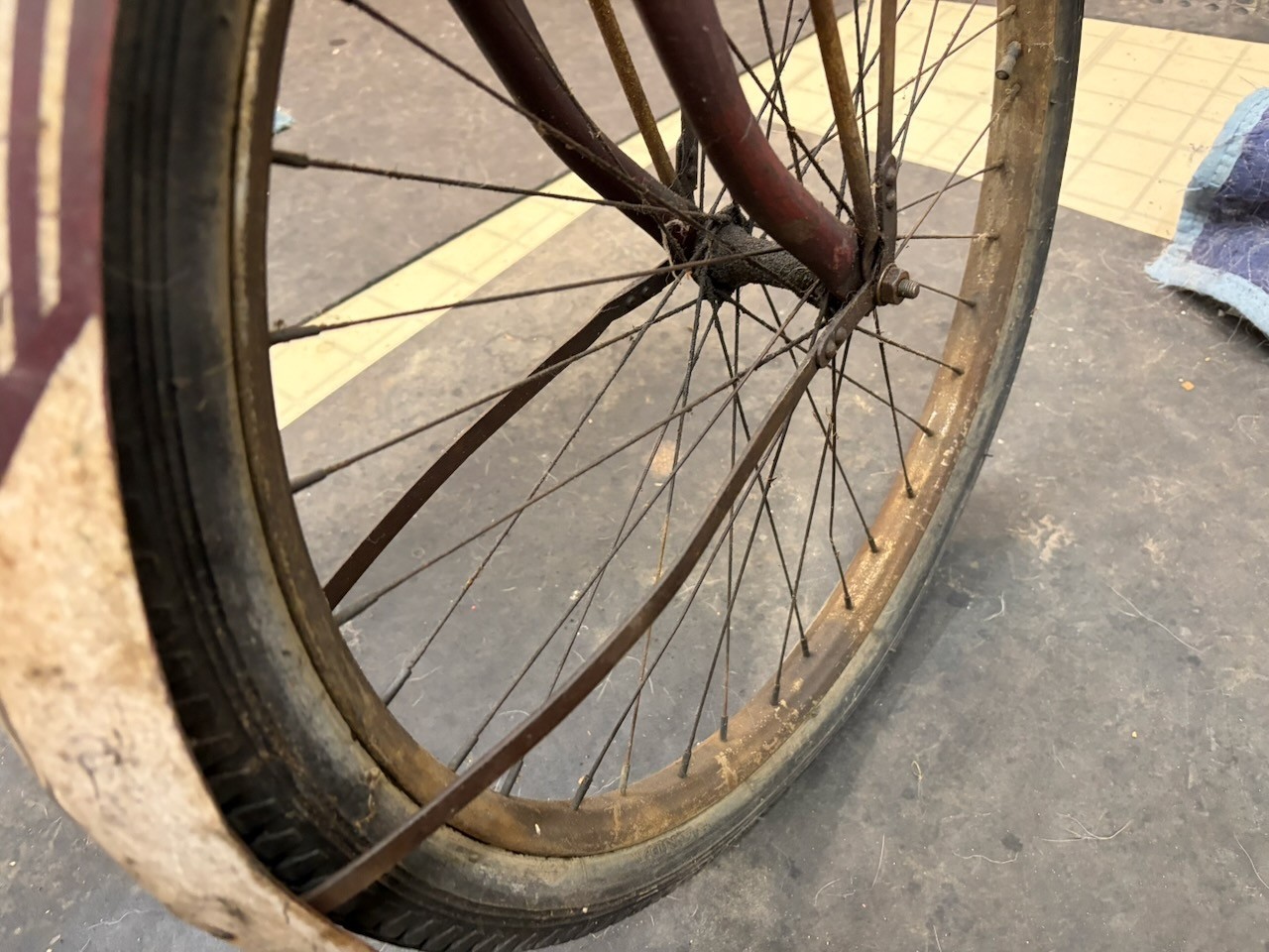 Rollfast RARE! Prewar Mens Bicycle Hanging Tank & Mouse Taillight Zep?