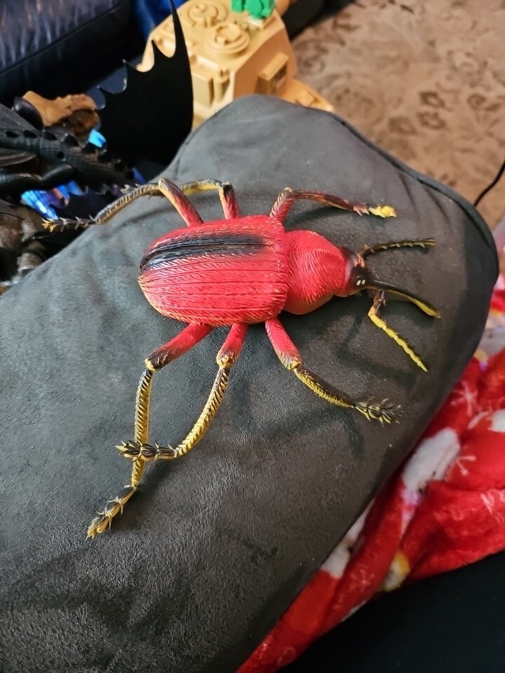 Unbranded Large Plastic Bug (7inx.5inx6in)