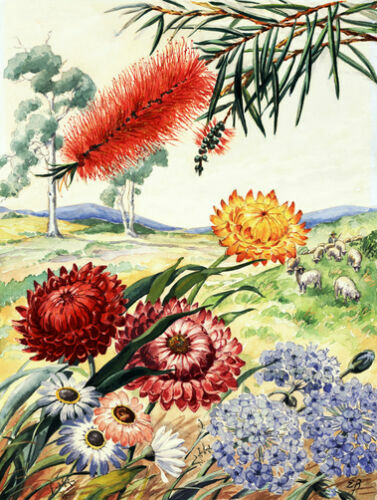 Chart Needlework DIY - Counted Cross Stitch Patterns - Flowers of Australia