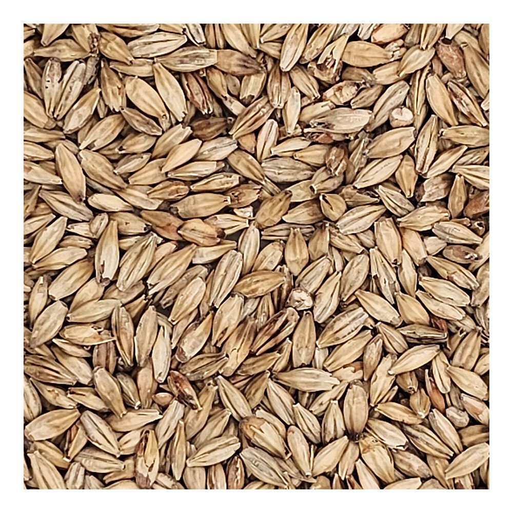 Home Brew Ohio Abbey Grain 1lb