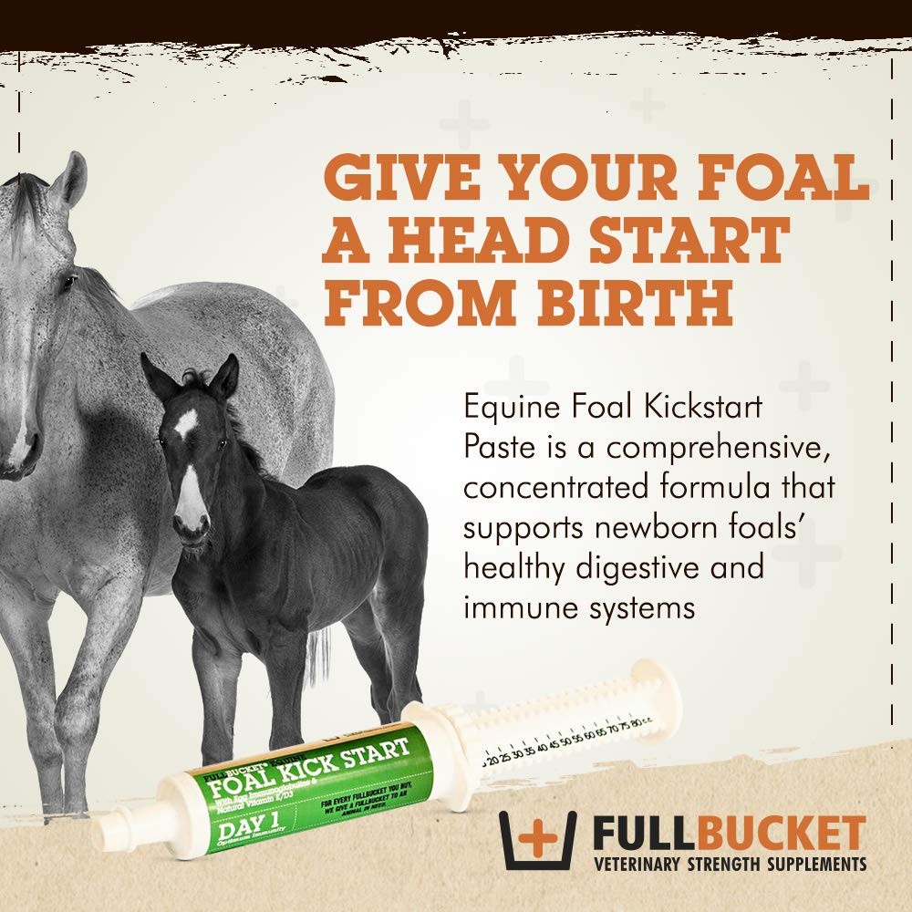 Foal Kick Start Immune Paste 80ml